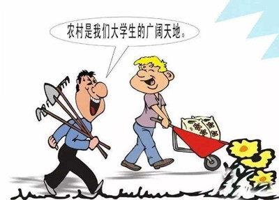 考公、考研難度高，應(yīng)屆生你還有4種選擇