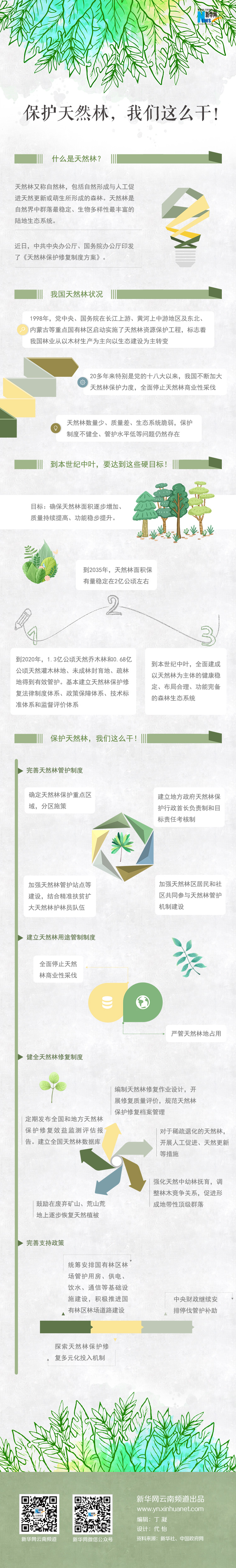 2020年國家公務(wù)員考試時(shí)政：保護(hù)天然林，我們這么干！